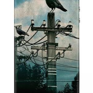 Iphone, Hawk, Big Brother Iphone Case For Iphone 4..