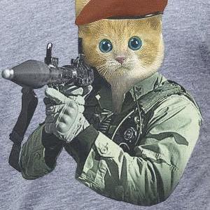 G.I. Kitty Cat t-shirt Heathered Gr..