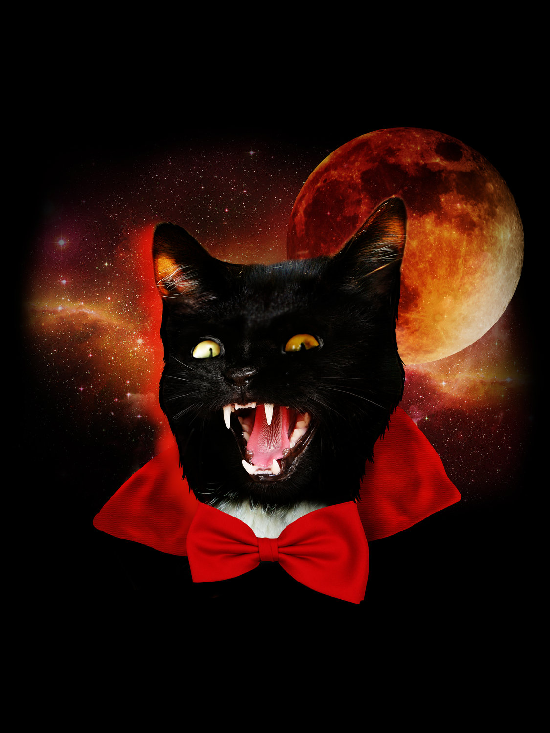 Кот вампир. Кот вампир монк. Кот дракула. Вампирская кошка. Коте вампире.