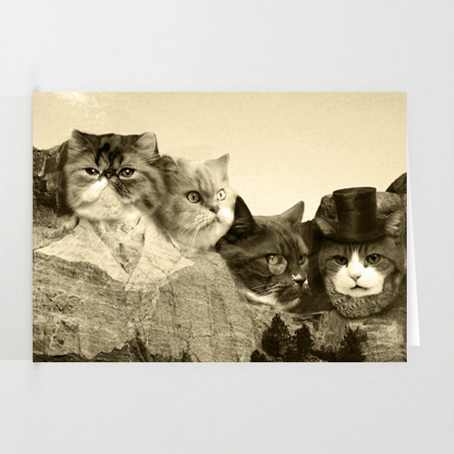 Cats, Meowmore, Rushmore, 3-Pack of Stationary Cards with Matching Envelope