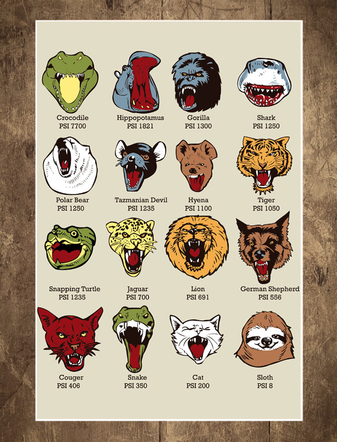 Wall Art, Know Your Chomps, Psi Chart, Diagram, Science Poster, Sloth, Slothzilla, Knowledge