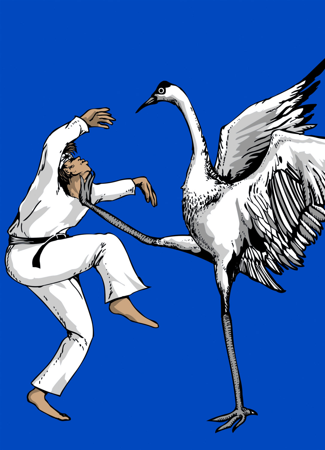 Karate Crane 3-pack, Stationary Cards, Folded Cards, Blank Cards, Greeting Cards, Matching Envelopes Included