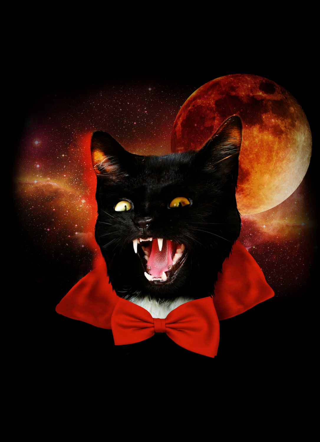 Catula 3 Pack Birthday Card Black Cat Space Blank Cards