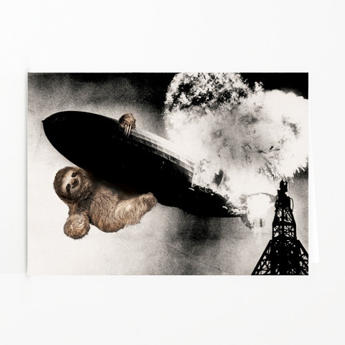 Sloth, Slothzilla, Hindendberg 3-Pack of Cards with Matching Envelope